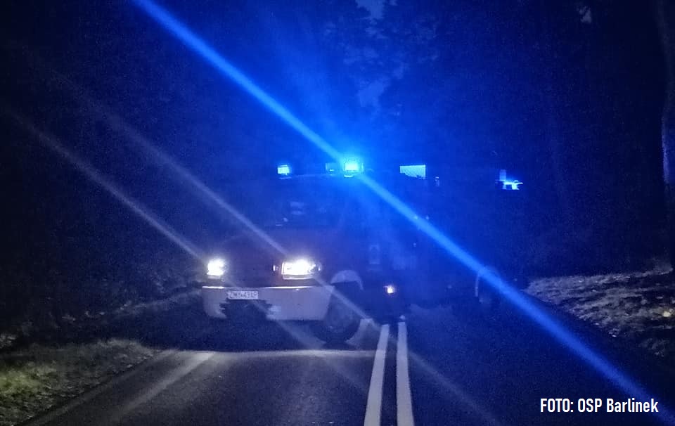 Potrącenie pieszego DW-151 Pełczyce - Barlinek.