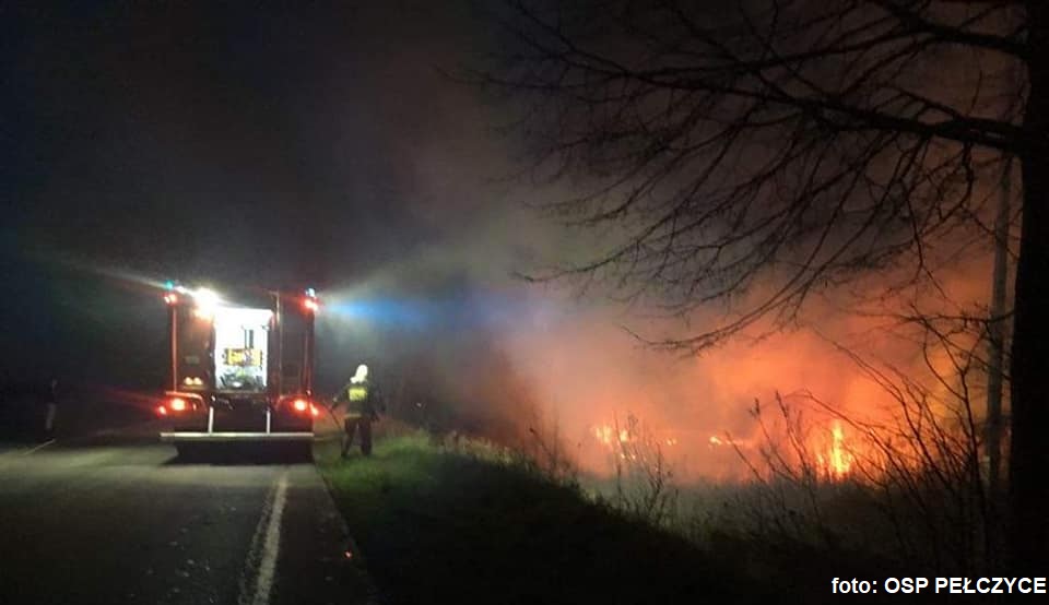 Strażacy z Pełczyc znów gasili pożary traw i nieużytków [FOTO]