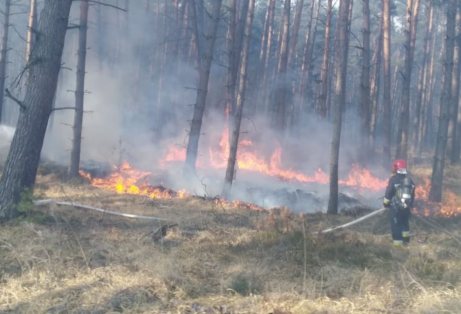 Pracowite święta strażaków i leśników. 93 pożary lasów w kwietniu...
