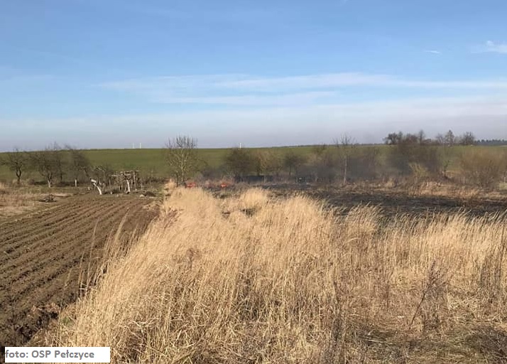 Rozpoczął się sezon wypalania traw. Strażacy z powiatu choszczeńskiego mają dużo pracy... 