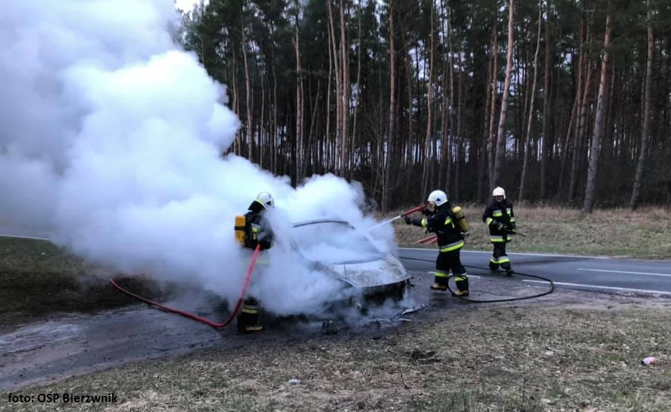 Pożar samochodu na drodze DW-160 Bierzwnik-Zieleniewo. Spłonęło Renault....
