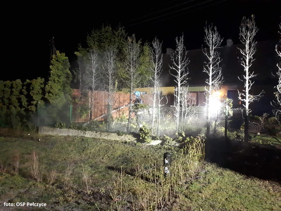 Pożar tuji na posesji w Jagowie i powalone drzewo na trasie Pełczyce - Choszczno [FOTO]