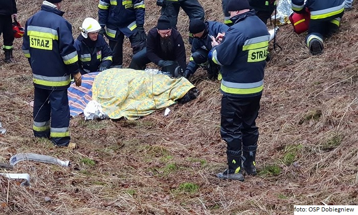 Żubr wpadł w przerębel! Strażacy uratowali zwierze [FOTO - VIDEO]...